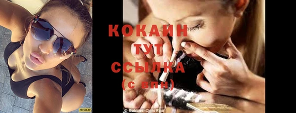 шишки Краснослободск