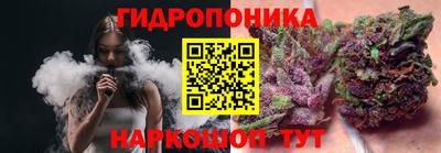 прущие грибы Комсомольск-на-Амуре