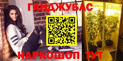 прущие грибы Комсомольск-на-Амуре