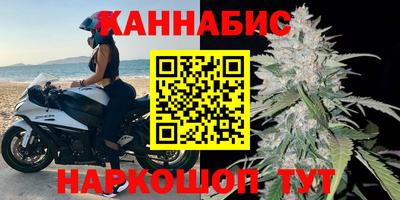 прущие грибы Комсомольск-на-Амуре