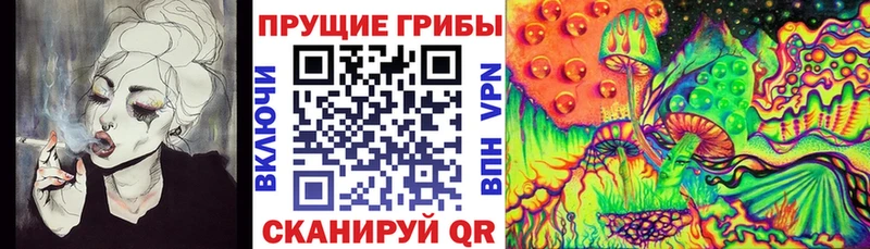 где купить   Красноуфимск  дарк нет клад  Псилоцибиновые грибы прущие грибы 