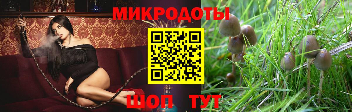 Псилоцибиновые грибы прущие грибы Красноуфимск